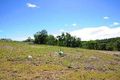 Property photo of 8 Wilcox Close Reedy Creek QLD 4227