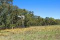 Property photo of 1972 Spring Ridge Road Dunedoo NSW 2844