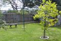 Property photo of 27 Coveside Avenue Safety Beach VIC 3936