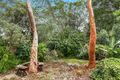 Property photo of 38 Taleeban Road Riverview NSW 2066