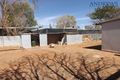 Property photo of 6 Scheelite Crescent Tennant Creek NT 0860