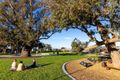 Property photo of 27 Yellowtail Drive Vasse WA 6280