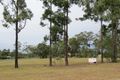 Property photo of 240-250 Equestrian Drive New Beith QLD 4124