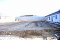 Property photo of 61 Celeste Street Alkimos WA 6038