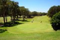 Property photo of 142 Marks Road Gorokan NSW 2263