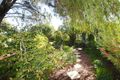 Property photo of 6 Clark Street Berri SA 5343