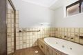 Property photo of 11 Darmenia Avenue Greystanes NSW 2145