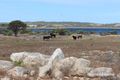 Property photo of 50 West Bay Road Mount Dutton Bay SA 5607
