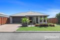Property photo of 22 Halcyon Drive Wondunna QLD 4655