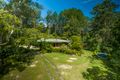 Property photo of 3425 Kyogle Road Mount Burrell NSW 2484