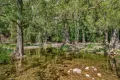 Property photo of 1561 Bowman River Road Bowman NSW 2422