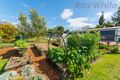 Property photo of 26 Felchow Court Wamuran QLD 4512