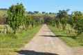 Property photo of 646 Sheans Creek Road Balmattum VIC 3666