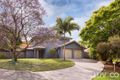Property photo of 37 Takitimu Street Aspley QLD 4034