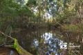 Property photo of 50 Old Macclesfield Road Monbulk VIC 3793