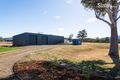 Property photo of 48 White Gum Rise St Leonards TAS 7250
