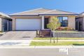 Property photo of 19 Arena Street Spring Farm NSW 2570