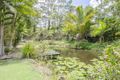 Property photo of 528 Wilson Road Tanawha QLD 4556