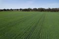 Property photo of 126 Kneebones Road Euberta NSW 2650