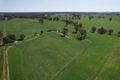 Property photo of 126 Kneebones Road Euberta NSW 2650