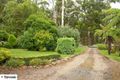 Property photo of 29 River Road Millgrove VIC 3799