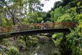 Property photo of 102 Valley Parade Glen Iris VIC 3146