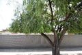 Property photo of 20 Arthur Street Plympton Park SA 5038