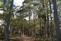 Property photo of 31 Leatherwood Drive Penguin TAS 7316