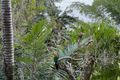 Property photo of 166 Broadwater Esplanade Bilambil Heights NSW 2486