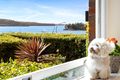 Property photo of 2/1 Longworth Avenue Point Piper NSW 2027
