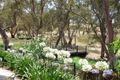 Property photo of 12 Laslett Court Craigburn Farm SA 5051