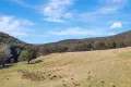 Property photo of 184 Old Western Road Mount Lambie NSW 2790