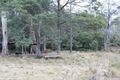 Property photo of 814 Tyne Road Mathinna TAS 7214