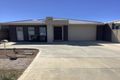 Property photo of 8 Kiltie Avenue Windsor Gardens SA 5087