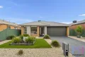 Property photo of 10 Loriini Place Kangaroo Flat VIC 3555
