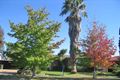 Property photo of 19 Lobelia Crescent Quakers Hill NSW 2763