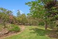 Property photo of 19 Caplick Outlook Ormeau QLD 4208