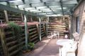 Property photo of 16 Lemon Tree Street Wyoming NSW 2250