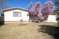 Property photo of 12 Bardia Street Ashmont NSW 2650