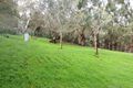 Property photo of 13 Paddys Hill Road Mount Barker SA 5251