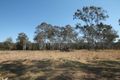 Property photo of 134 Sandy Swamp Road Coutts Crossing NSW 2460
