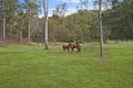 Property photo of 51B Greenmount Court Mount Samson QLD 4520