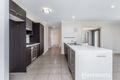 Property photo of 33 Cyperus Crescent Carseldine QLD 4034