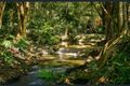 Property photo of 18 Veronica Drive Tallai QLD 4213