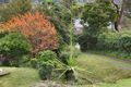 Property photo of 808 Barrenjoey Road Palm Beach NSW 2108