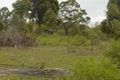 Property photo of 61 Quinlan Road Tamaree QLD 4570