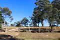 Property photo of 52 Lyrebird Place Bodalla NSW 2545