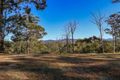 Property photo of 52 Lyrebird Place Bodalla NSW 2545