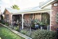 Property photo of 13 Barkly Street Rutherglen VIC 3685