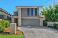 Property photo of 41 Keats Street Cannon Hill QLD 4170